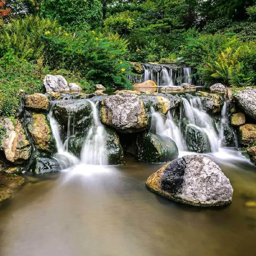 Small waterfall at the Setagayapark in Vienna