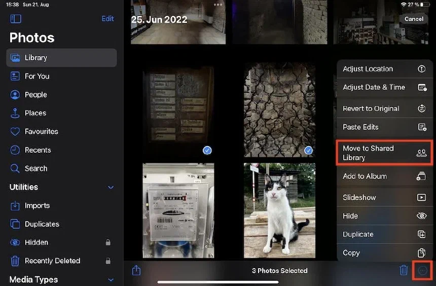 Manually move Photos to the iOS 16 Shared Photo Library