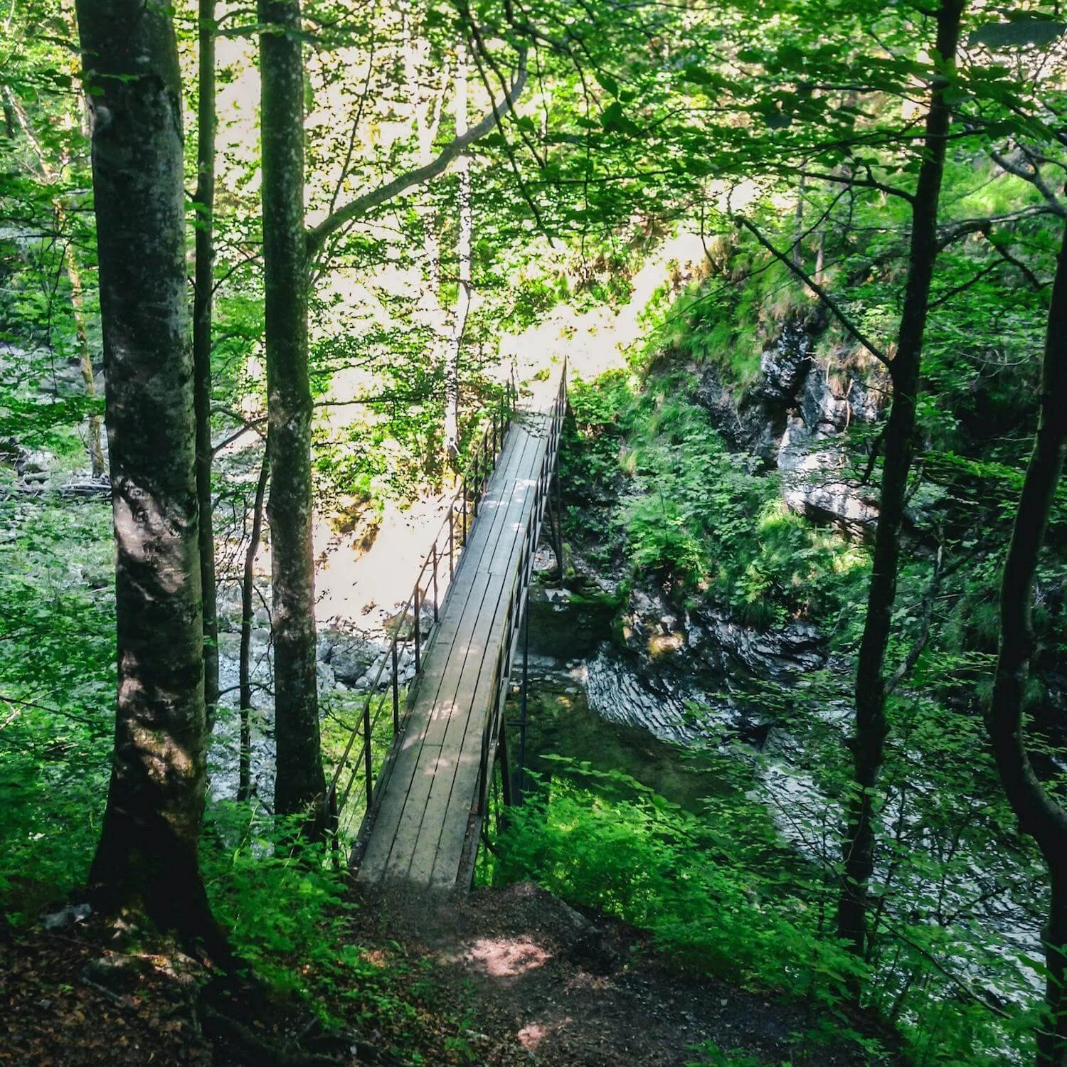 Footbridge over the Ötscher Creek