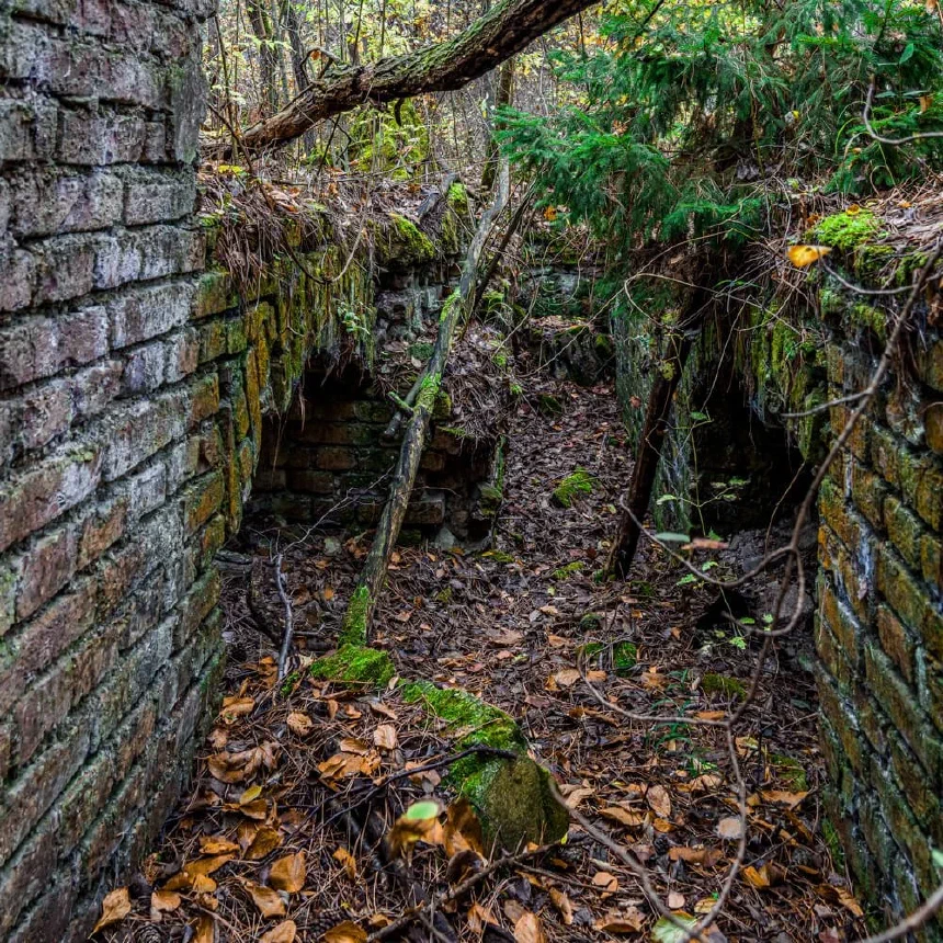 Trench between two WW2 bunkers