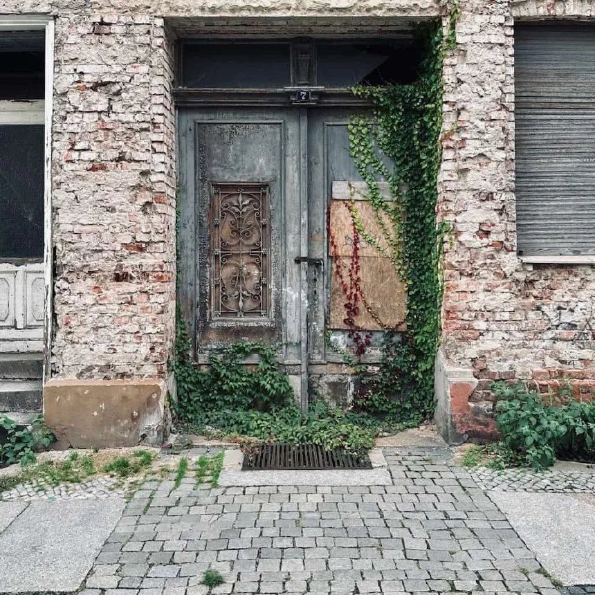 Overgrown door of an abandoned building in Forst-Lausitz
