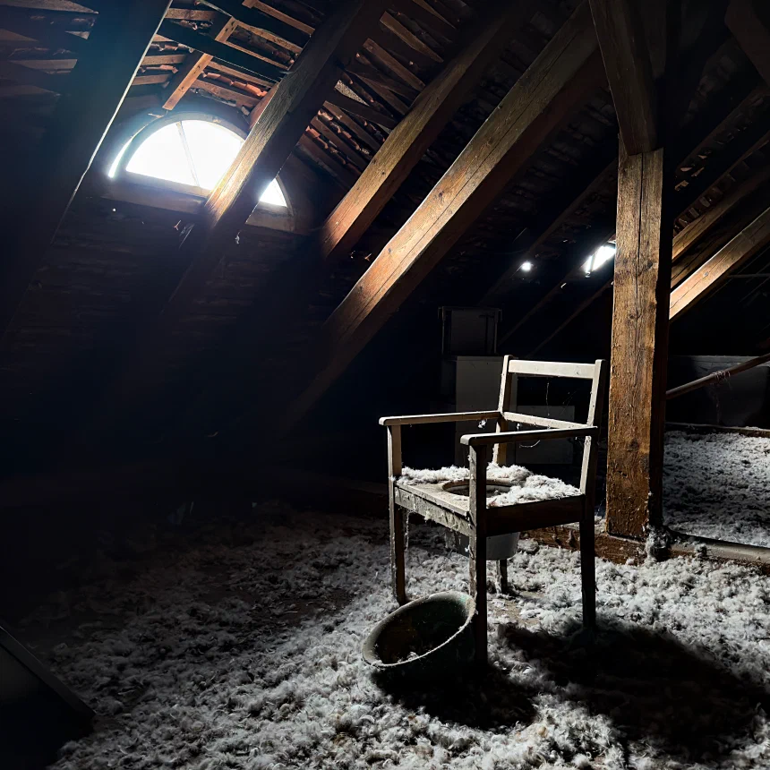 Old commode chair in the attic of castle Henriette-Helmsdorf
