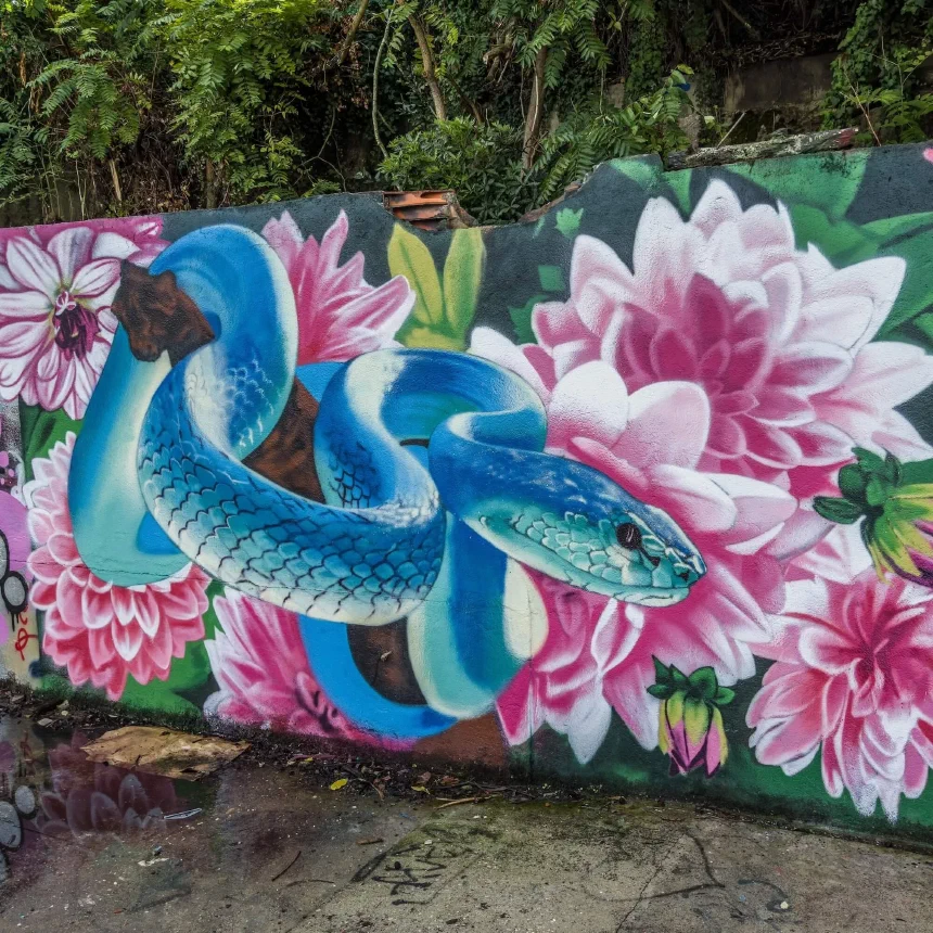 You’ll see many beautiful graffitis at the abandoned winery in Almada.
