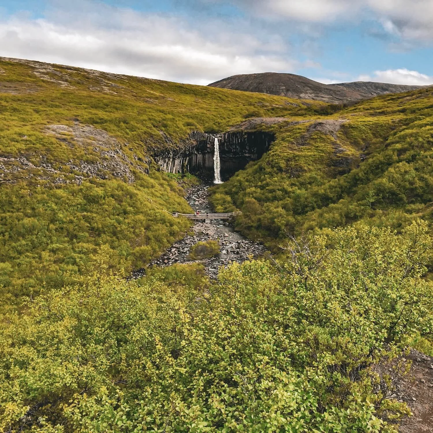 Svartifoss Waterfall as seen after a one-hour hike