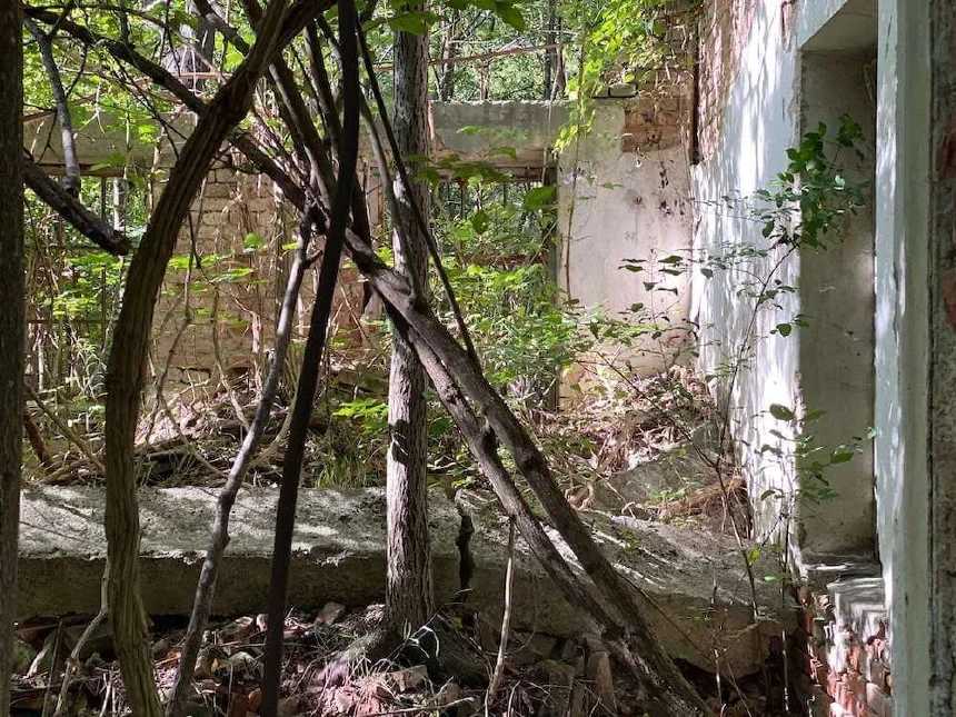 Lost Place shot on iPhone 11 telephoto lens
