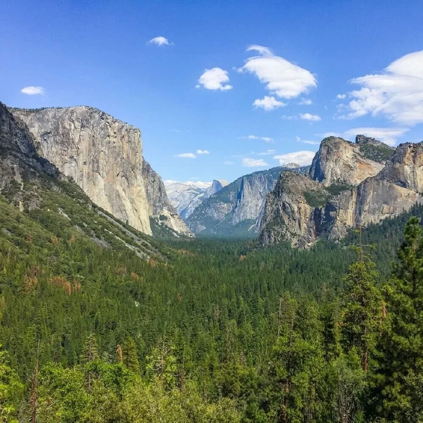 Tunnel view without Moment wide angle lens
