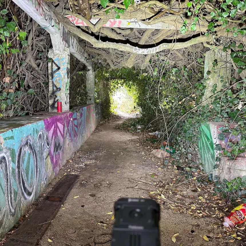 Wuben X1 brightness illuminating an overgrown corridor