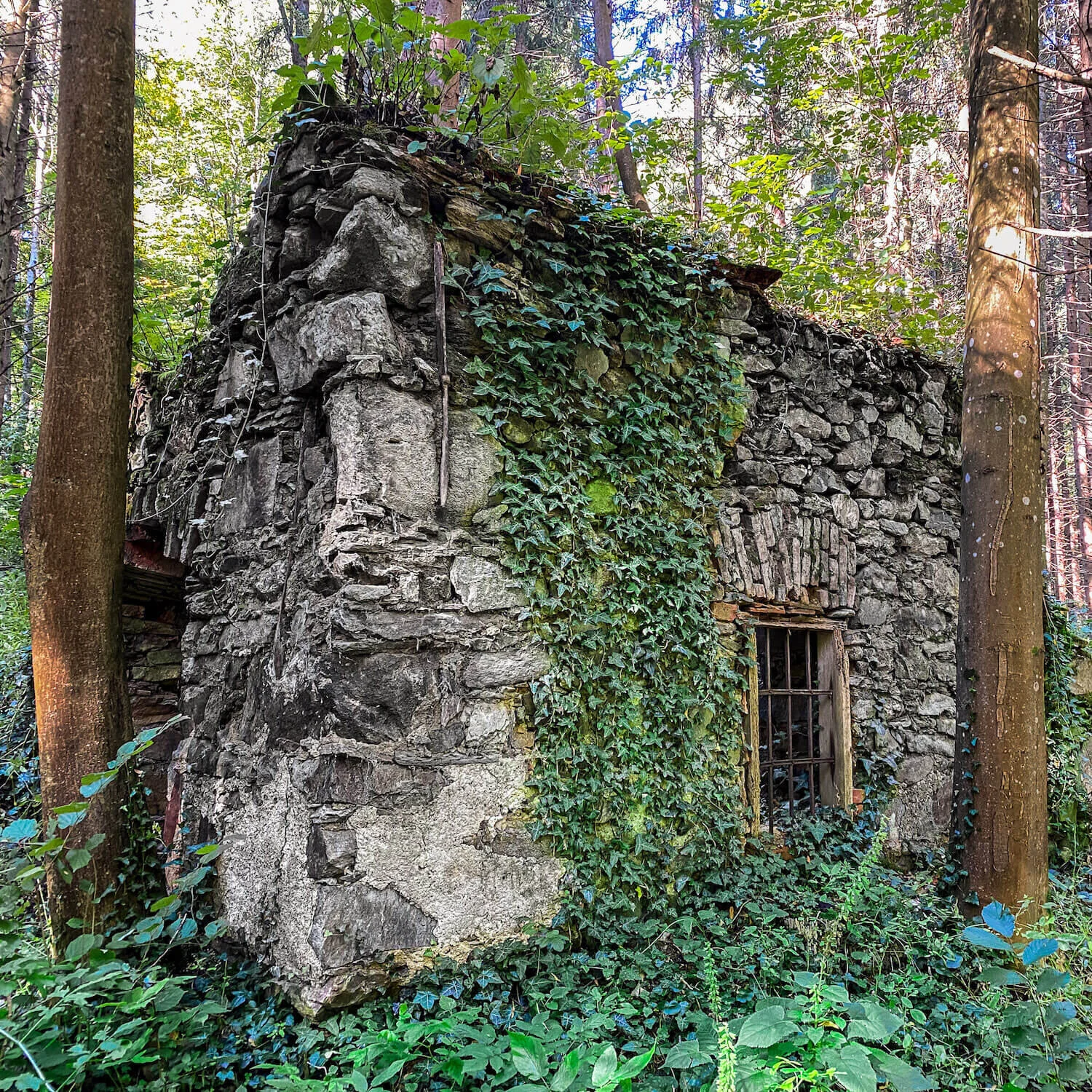 Final edit of “The old mill” in Lightroom Mobile